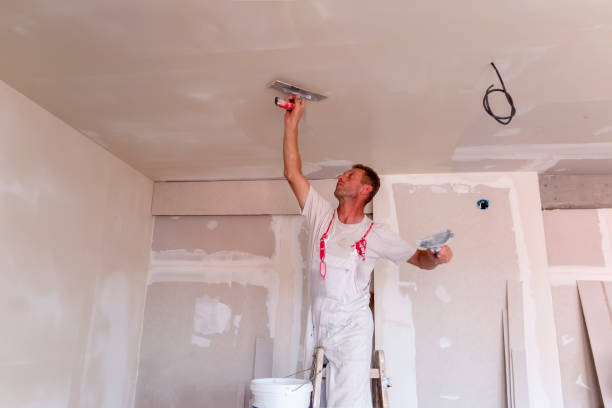 Best Touch-Up Painting  in Warren, MN